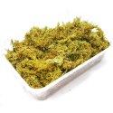 REPTI-ZOO CHILE'S SPHAGNUM MOSS - MECH TOROWIEC 4,5L