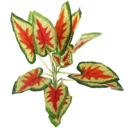 BELLO PLANT - DEVIL'S IVY RED - ROŚLINA XL DO OBRAZÓW 3D