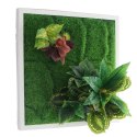 BELLO PLANT - PEARL FLAT PLANT - ROŚLINA S DO OBRAZÓW 3D