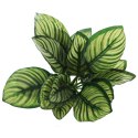 BELLO PLANT - ZEBRA WHITE GALAXY - ROŚLINA XXL DO OBRAZÓW 3D