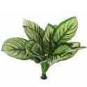 BELLO PLANT - ZEBRA WHITE GALAXY - ROŚLINA XXL DO OBRAZÓW 3D