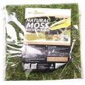 TŁO I PODŁOŻE Z MCHU 20X20CM REPTI-ZOO NATURAL MOSS BACK&BOTTOM