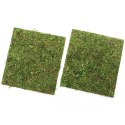 TŁO I PODŁOŻE Z MCHU 20X20CM REPTI-ZOO NATURAL MOSS BACK&BOTTOM