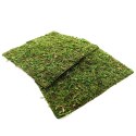 TŁO I PODŁOŻE Z MCHU 20X20CM REPTI-ZOO NATURAL MOSS BACK&BOTTOM