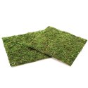 TŁO I PODŁOŻE Z MCHU 20X20CM REPTI-ZOO NATURAL MOSS BACK&BOTTOM