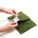 TŁO I PODŁOŻE Z MCHU 20X20CM REPTI-ZOO NATURAL MOSS BACK&BOTTOM