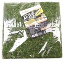 TŁO I PODŁOŻE Z MCHU 30X30CM REPTI-ZOO NATURAL MOSS BACK&BOTTOM