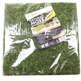 TŁO I PODŁOŻE Z MCHU 30X30CM REPTI-ZOO NATURAL MOSS BACK&BOTTOM