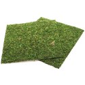 TŁO I PODŁOŻE Z MCHU 30X30CM REPTI-ZOO NATURAL MOSS BACK&BOTTOM