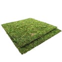 TŁO I PODŁOŻE Z MCHU 30X30CM REPTI-ZOO NATURAL MOSS BACK&BOTTOM