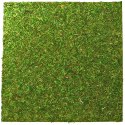 TŁO I PODŁOŻE Z MCHU 45X45CM REPTI-ZOO NATURAL MOSS BACK&BOTTOM