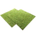 TŁO I PODŁOŻE Z MCHU 45X45CM REPTI-ZOO NATURAL MOSS BACK&BOTTOM