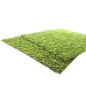 TŁO I PODŁOŻE Z MCHU 45X45CM REPTI-ZOO NATURAL MOSS BACK&BOTTOM