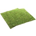 TŁO I PODŁOŻE Z MCHU 45X45CM REPTI-ZOO NATURAL MOSS BACK&BOTTOM