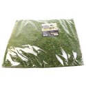 TŁO I PODŁOŻE Z MCHU 45X45CM REPTI-ZOO NATURAL MOSS BACK&BOTTOM