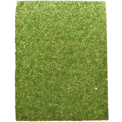 TŁO I PODŁOŻE Z MCHU 45X60CM REPTI-ZOO NATURAL MOSS BACK&BOTTOM