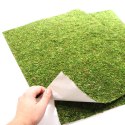 TŁO I PODŁOŻE Z MCHU 45X60CM REPTI-ZOO NATURAL MOSS BACK&BOTTOM