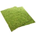 TŁO I PODŁOŻE Z MCHU 45X60CM REPTI-ZOO NATURAL MOSS BACK&BOTTOM