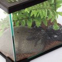 REPTI-ZOO SIMPLE HABITAT TERRARIUM 31X31X20