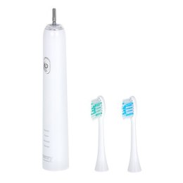 Camry Sonic Toothbrush CR 2173 Rechargeable, For adults, Number of brush heads included 2, Number of teeth brushing modes 3, Son
