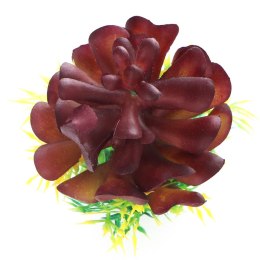 Bello Plant - Purple Royal Tree - roślina S do obrazów 3D