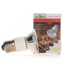 REPTI-ZOO HALOGEN GRZEWCZY 35W