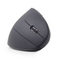 Gembird MUSW-ERGO-01 2.4GHz Wireless Optical Mouse, USB, Wireless connection, Black