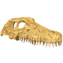 Repti-Zoo Crocodile Skull M - czaszka krokodyla