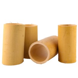 Tropical Forest - Vietnam Bamboo Tube XL Long - bambusowa tuba długa