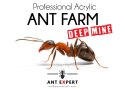 Ant Expert Deep Mine - formikarium akrylowe profesjonalne