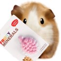 HappyPet Fruity Minerals 30g - kostka wapienna winogronowa