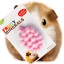 HappyPet Fruity Minerals 60g - kostka wapienna winogronowa