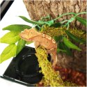 Repti-Zoo Liana z naturalnym mchem 1cm x 2m