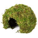 Repti-Zoo Natural Mossy Dome S - kryjówka z mchu