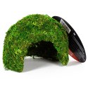 Repti-Zoo Natural Mossy Dome S - kryjówka z mchu