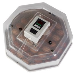 HFM Brüterei Thermo 60 - inkubator z termostatem na 60 jaj