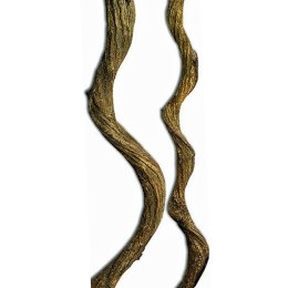 Tropical Forest - Vine's Regular Thick - liana gruba naturalna 25cm