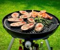 GRILL GAZOWY 30MBAR CADAC BBQ CARRI CHEF 47CM PALNIK STAL NIERDZEWNA