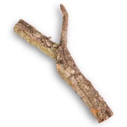 Drzewko z Dębu korkowego 30cm