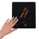 Camry Kitchen Scale CR 3175 Maximum weight (capacity) 15 kg, Graduation 1 g, Display type LED, Black