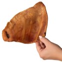 Dogario Bonni Pig's Ear L - duże wieprzowe ucho gryzak dla psa x10