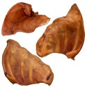 Dogario Bonni Pig's Ear L - duże wieprzowe ucho gryzak dla psa x10