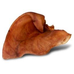 Dogario Bonni Pig's Ear L - duże wieprzowe ucho oferta hurtowa x50