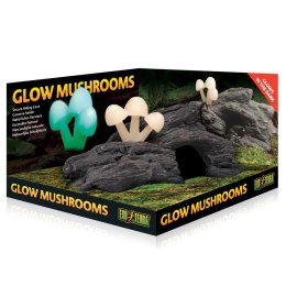 EXO TERRA Glow Mushrooms - jaskinia z grzybami