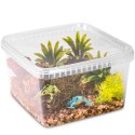 Terrario ReptiBox 19x19x12cm - przeźroczyste terrarium faunarium