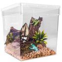 Terrario ReptiBox 19x19x19cm - przeźroczyste terrarium faunarium