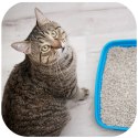 Hilton Cat Litter Standard - żwirek bentonitowy dla kota 5l