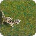 Resun Tropical Carpet Mat - mata do terrarium 50x20cm