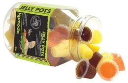 Komodo Jelly Pot Mixed Flavours Jar - miks pokarmów w żelu 60szt.