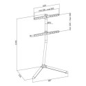 Stojak podłogowy do telewizora Logilink z podstawą podłogową V-Base, BP0079, 49-70 ", trzymaj, maksymalna waga (pojemność) 40 kg